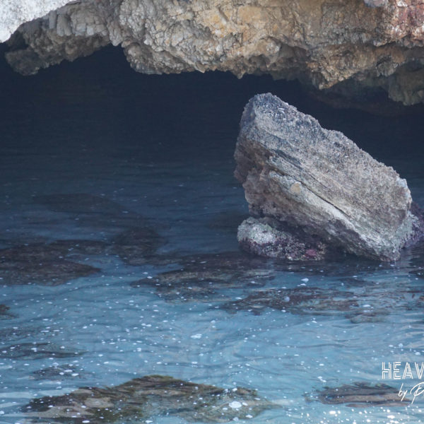 Καμαρουλες Lassi 2-10-18