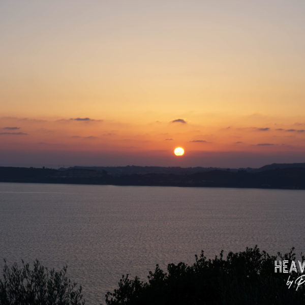 Λασσι-Τηλεγραφος- Φεβρουαριος 2-2019 Κεφαλονια