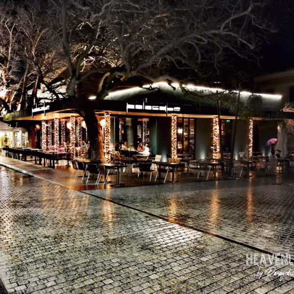 Polo  Cafe Argostoli 1-2019