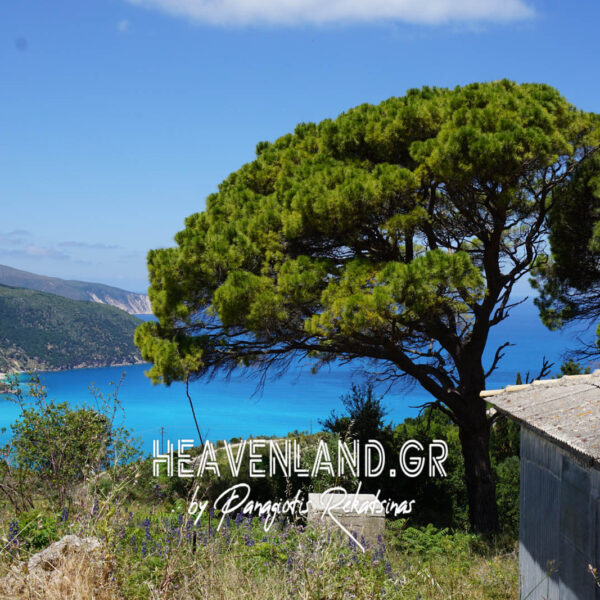 Αγκωνας Αγια Κυριακη Κεφαλονια Καλοκαιρι 2020