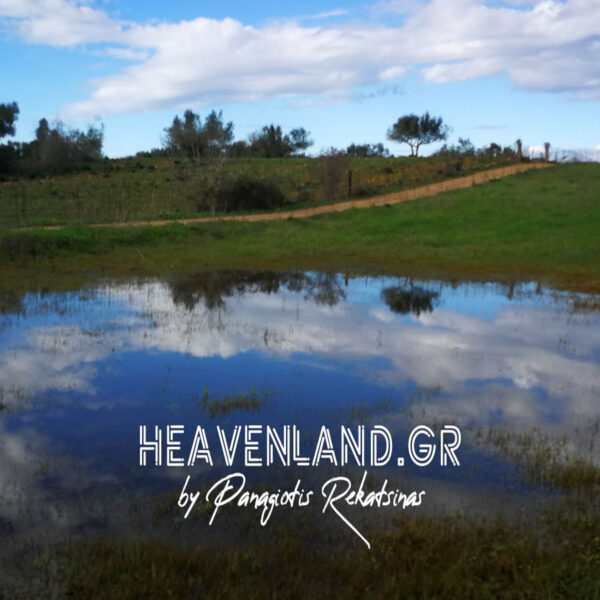 Αντικατοπτρισμοι στη Φυση..