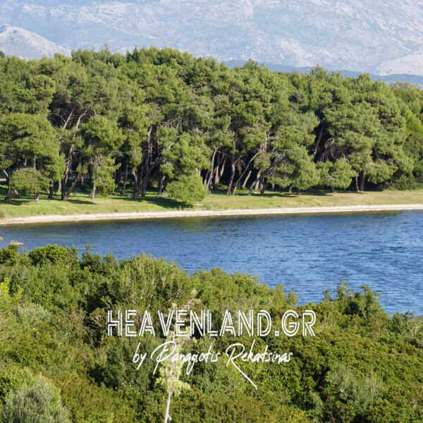 Πευκακια Παραλια.Αγιος Νικολαος.Βονιτσα.Αιτ/νιας Α21